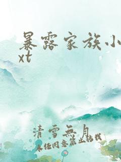 暴露家族小说txt