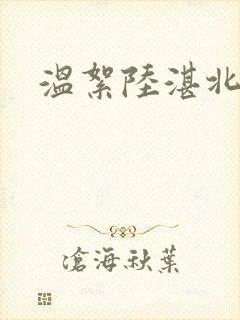 温絮陆湛北