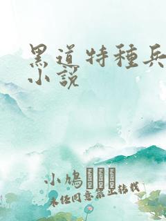 黑道特种兵有声小说