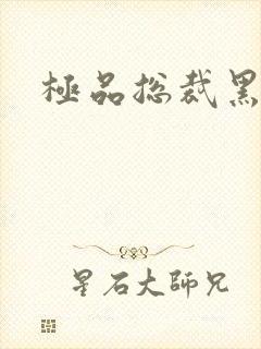 极品总裁黑道妻