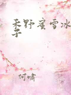 禾野蜜雪冰城本子