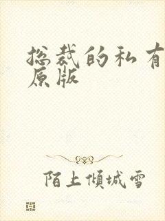 总裁的私有宝贝原版