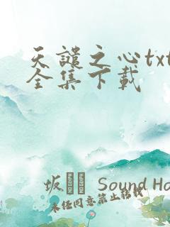 天谴之心txt全集下载