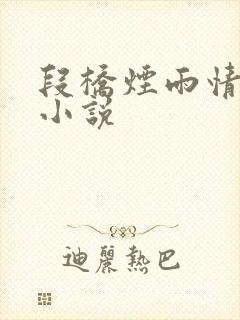 段桥烟雨情难离小说