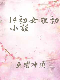 14初女破初的小说