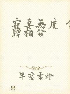 宠妻无度  金牌相公