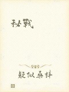 秘战