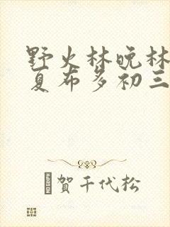 野火林晚林潮生夏布多初三边缘