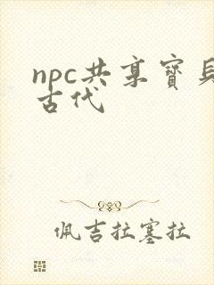 npc共享宝贝古代