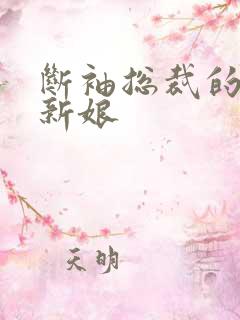 断袖总裁的落跑新娘