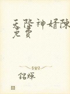 天降神婿陈黄皮免费