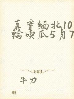真实缅北10人轮吃瓜5月7日