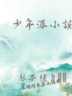 少年派小说