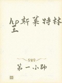 hp斯莱特林之王