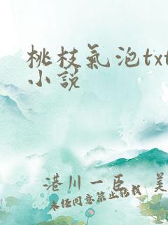 桃枝气泡txt小说