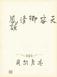 凤清卿容天凌小说