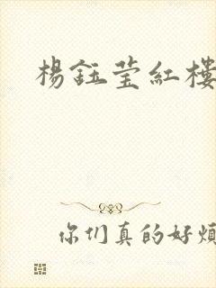 杨钰莹红楼