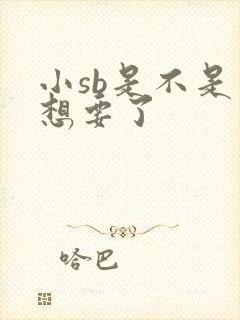 小sb是不是又想要了