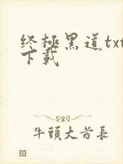 终极黑道txt下载