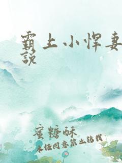 霸上小悍妻 小说
