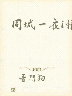 同城一夜i情