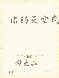 你的天空我的城