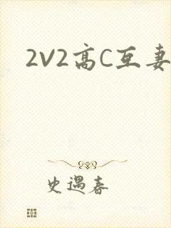 2V2高C互妻