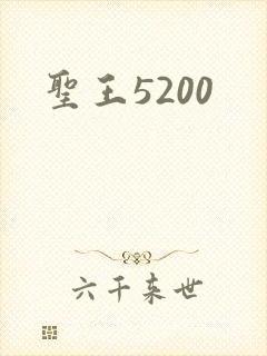 圣王5200