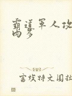 霸道军人攻现代肉多