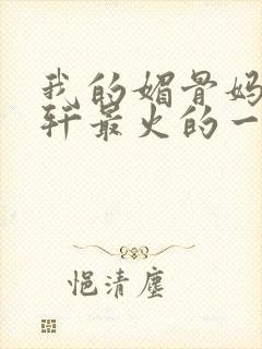 我的媚骨妈妈林轩最火的一句