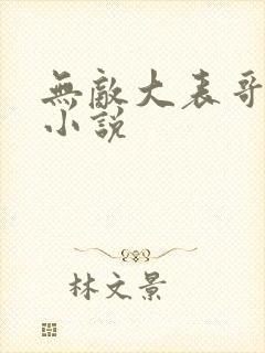 无敌大表哥萧天小说