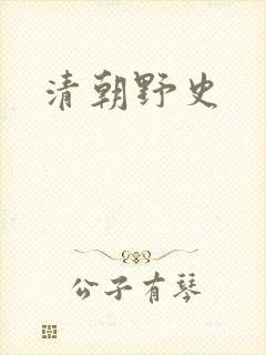 清朝野史