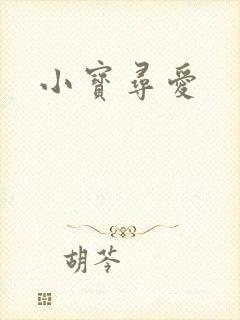 小宝寻爱