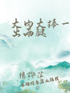 大肉大捧一进一出两腿