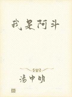 我是阿斗