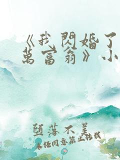 《我闪婚了个亿万富翁》小说