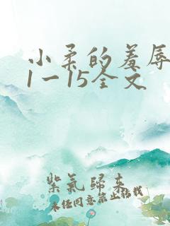 小柔的羞辱日记1一15全文