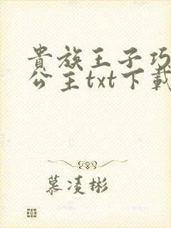 贵族王子巧遇穷公主txt下载