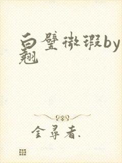 白璧微瑕by连翘