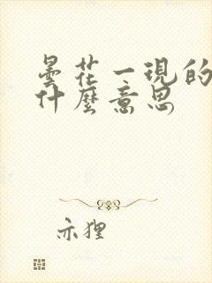 昙花一现的现是什么意思