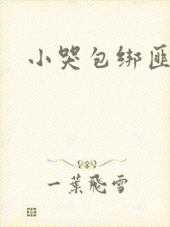 小哭包绑匪
