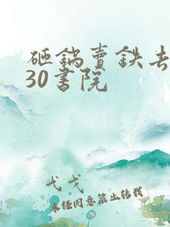 砸锅卖铁去上学30书院