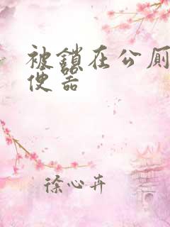 被锁在公厕当坐便器