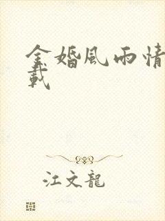 金婚风雨情 下载