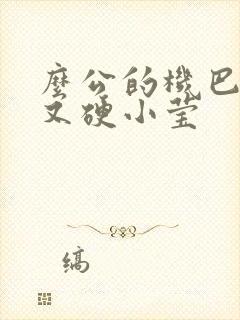 么公的机巴又粗又硬小莹