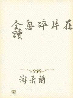 全息碎片在线阅读