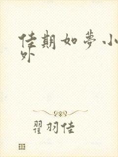 佳期如梦小说番外