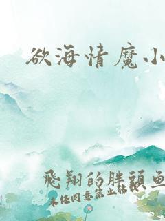 欲海情魔小说