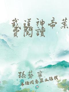 武道神帝叶辰免费阅读