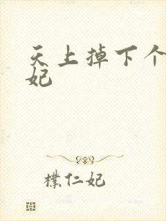 天上掉下个奇王妃